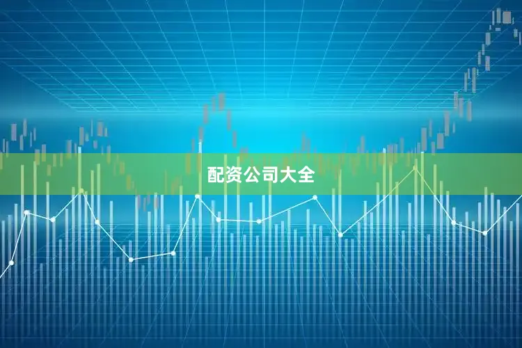 配资公司大全