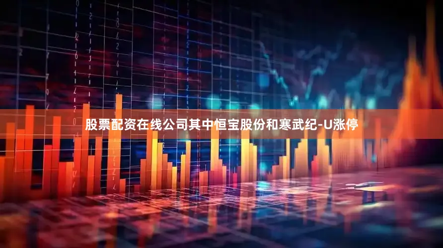 股票配资在线公司其中恒宝股份和寒武纪-U涨停