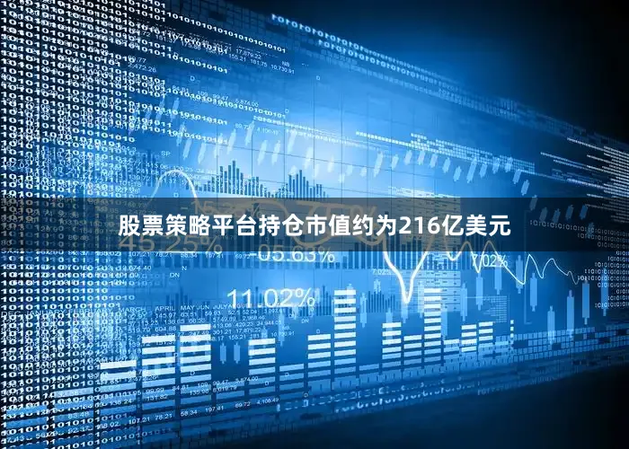 股票策略平台持仓市值约为216亿美元