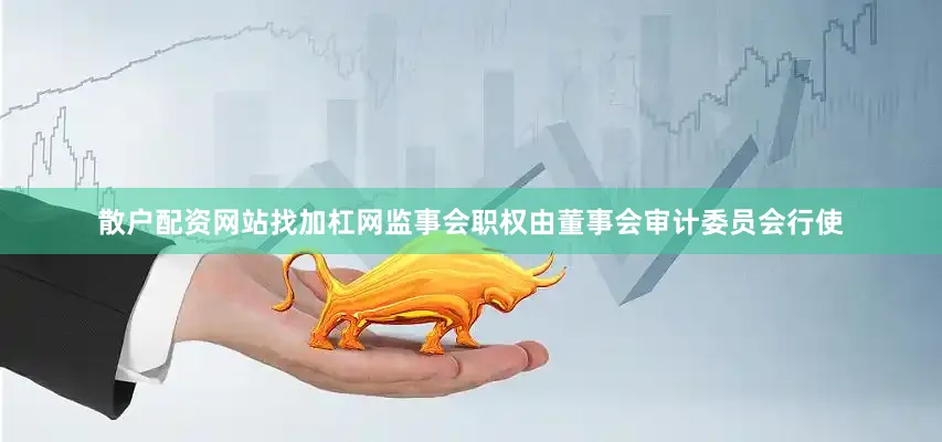 散户配资网站找加杠网监事会职权由董事会审计委员会行使